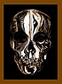 Alexander McQueen : savage beauty