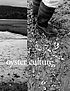 Oyster culture by  Gwendolyn Meyer 