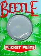 Beetle