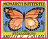 Monarch butterfly