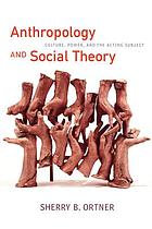 Anthropology and social theory : culture, power, and the acting subject