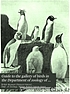 Guide to the gallery of birds in the Department... von W  R Ogilvie-Grant