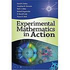Experimental mathematics in action