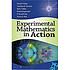 Experimental mathematics in action