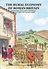 The rural economy of Roman Britain by  Martyn Allen 