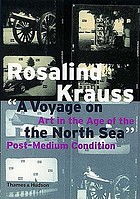 A voyage on the North Sea : art in the age of the post-medium condition