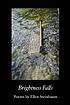 Brightness falls : poems by Ellen Steinbaum