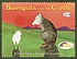 Borreguita and the coyote : a tale from Ayutla, Mexico