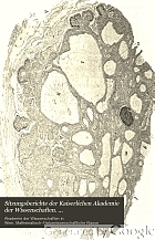 Sitzungsberichte der Kaiserlichen Akademie der Wissenschaften. Mathematisch-Naturwissenschaftliche Klasse. Abt. 3, Anatomie und Physiologie des Menschen und der Tiere sowie aus jenem der theoretischen Medizin.