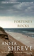Fortune's Rocks : a novel por Anita Shreve