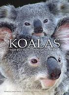 Koalas : moving portraits of serenity
