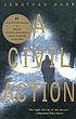 A civil action by  Jonathan Harr 