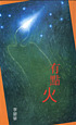 You dian huo by Bihua Li