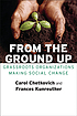 From the ground up : grassroots organizations... by Carol A Chetkovich
