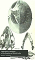Descriptive catalogue of the reptiles of British... de W Theobald
