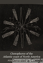 Ctenophores of the Atlantic coast of North America,