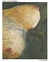 "Seek the extremes ..." volume 2, Lee Lozano :... by Sabine Folie