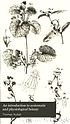 An introduction to systematic and physiological... 著者： Thomas Nuttall