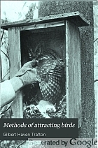Methods of attracting birds
