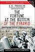 The Fortune at the Bottom of the Pyramid : Eradicating... 著者：  Harvey C Fruehauf 
