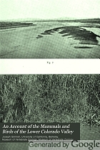 An account of the mammals and birds of the lower Colorado Valley, with especial reference to the distributional problems presented,