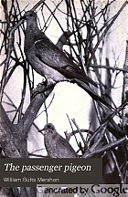 The passenger pigeon,