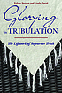 Glorying in tribulation : the lifework of Sojourner Truth