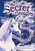 A winter wish door Linda Chapman