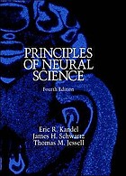 Principles of neural science