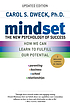 Mindset : the new psychology of success by Carol S Dweck