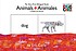 Animals = Animales : my very first bilingual book by  Eric Carle 
