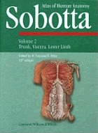 Sobotta atlas of human anatomy.