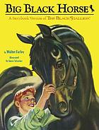 Big black horse,