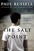 The salt point by  Paul Elliott Russell 