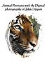 Animal portraits with the digital photography... by  John Crippen 