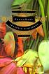 The PowerBook door Jeanette Winterson