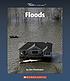 Floods by Lisa Trumbauer