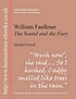 Literature insights William Faulkner : the Sound... by C  W  R  D Moseley