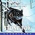 Stone Fox by John Reynolds Gardiner