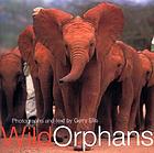 Wild orphans