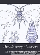 The life-story of insects, by Geo. H. Carpenter ...