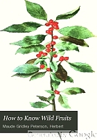 How to know wild fruits; a guide to plants when not in flower by means of fruit and leaf,