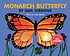 Monarch butterfly Autor: Gail Gibbons