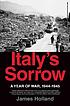Italy's sorrow : a year of war, 1944-1945 by  James Holland 