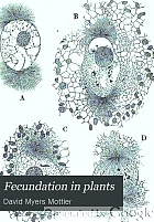Fecundation in plants,