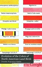 Evolution of the colors of North American land birds