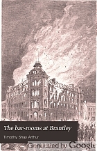 The bar-rooms at Brantley; or, The great hotel speculation.