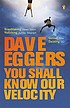 You shall know our velocity von Dave Eggers