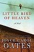 Little bird of heaven : a novel
