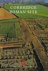 Corbridge, Roman site, Northumberland by John Dore
